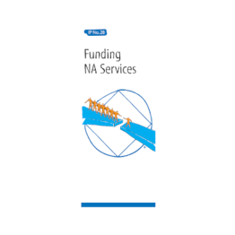 IP #28 Funding NA Services