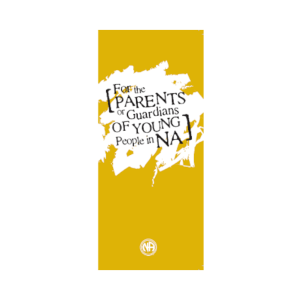 IP #27 - Parents of Young People in NA