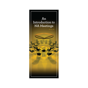 IP #29 - An Introduction to NA Meetings