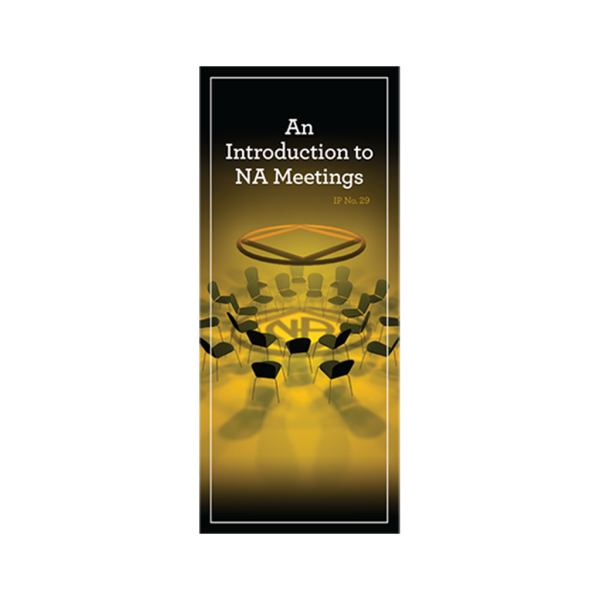 IP #29 - An Introduction to NA Meetings