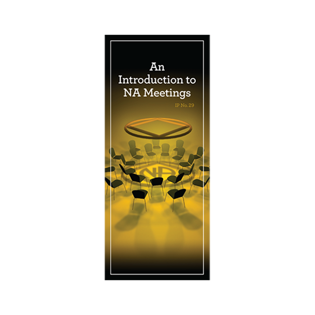 IP #29 - An Introduction to NA Meetings